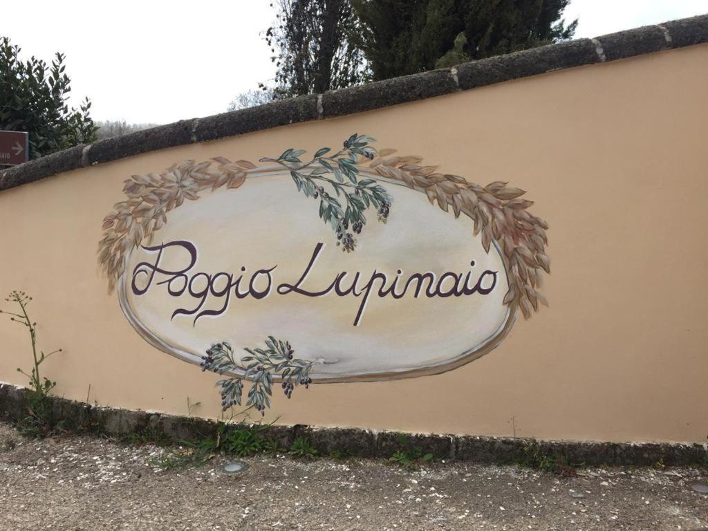 Podere Poggio Lupinaio San Martino sul Fiora Exterior foto