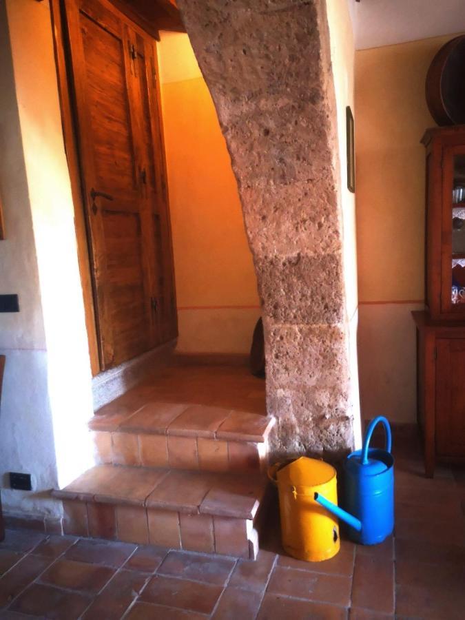 Podere Poggio Lupinaio San Martino sul Fiora Exterior foto